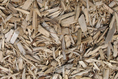 biomass boilers Quoyscottie